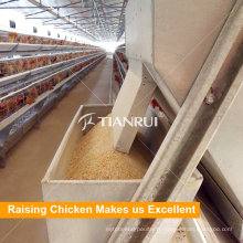 Tianrui Poultry Feed Processing Équipement de fabrication